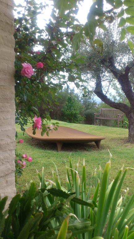 Poggio Dei Prugnoli Bed and Breakfast Tavoleto Buitenkant foto