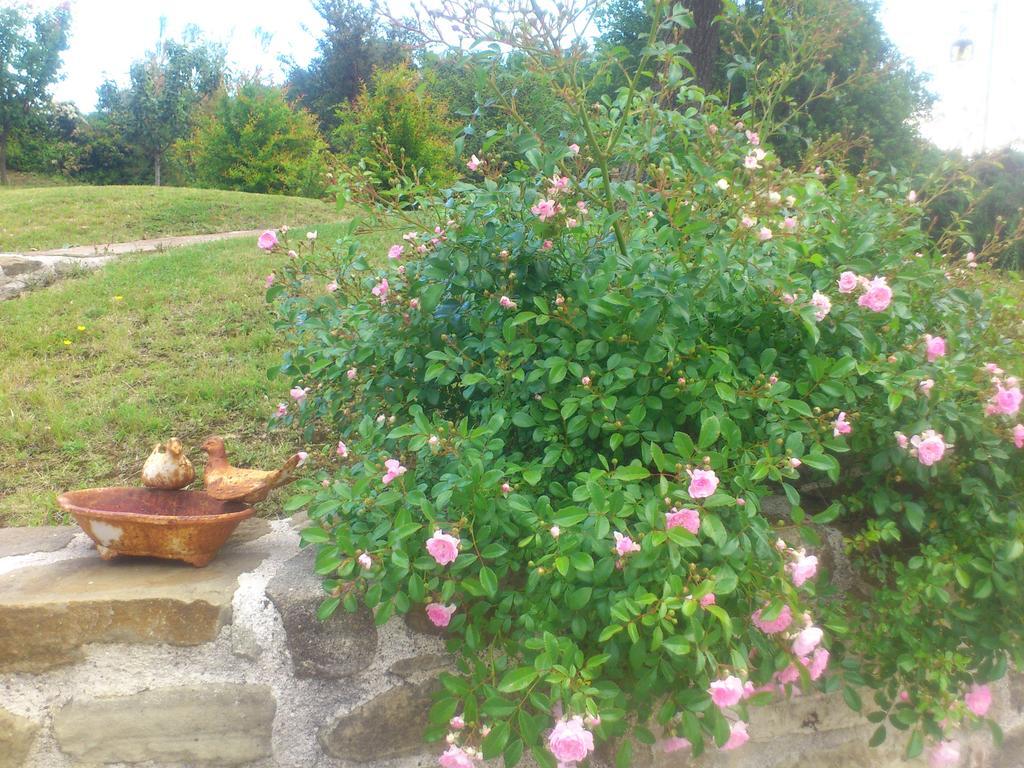 Poggio Dei Prugnoli Bed and Breakfast Tavoleto Buitenkant foto