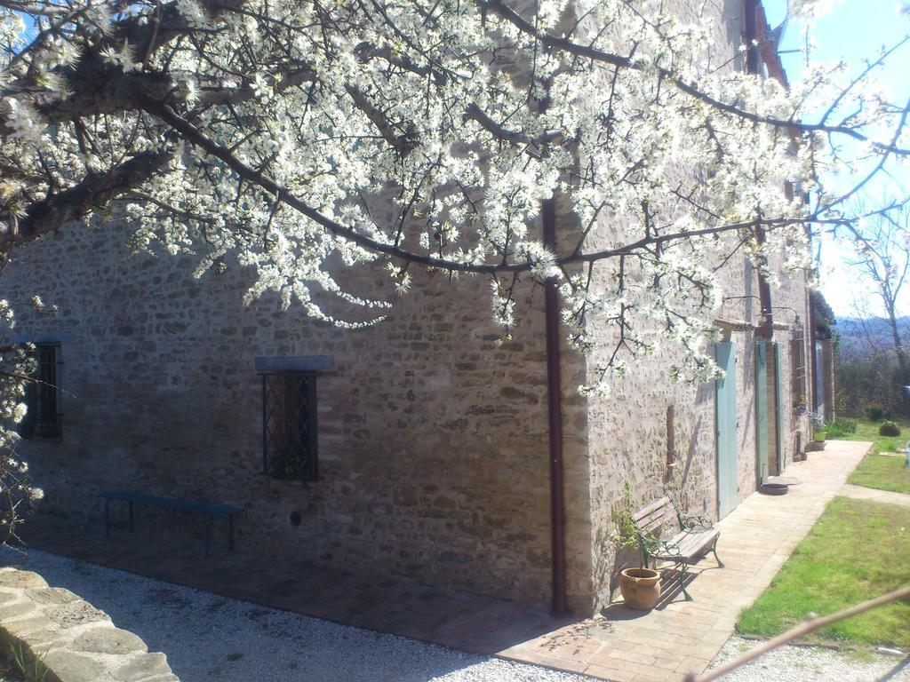 Poggio Dei Prugnoli Bed and Breakfast Tavoleto Buitenkant foto