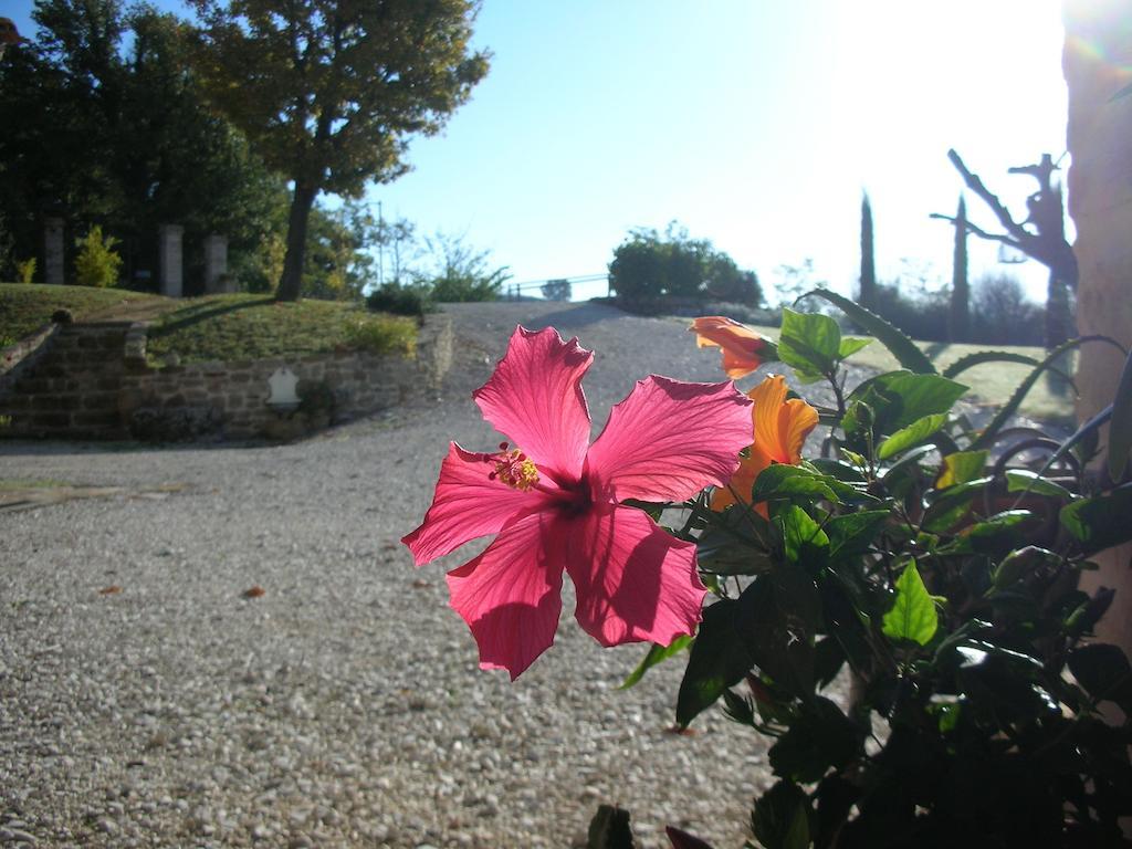 Poggio Dei Prugnoli Bed and Breakfast Tavoleto Buitenkant foto